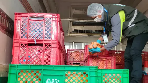 Comiso de pollo para contrabando.
