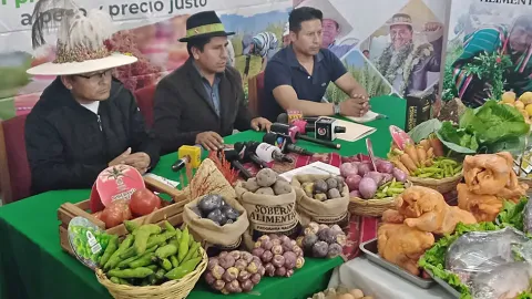 Viceministro de Desarrollo Agropecuario, Álvaro Mollinedo.