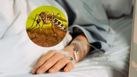 El dengue se contrae por la picadura del mosquito aedes aegypti.