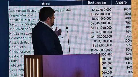 Samuel Doria Medina y su proyecto "La fiesta se acabó"