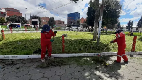 Brigadas de obreros embellecen distritos 1 y 3.