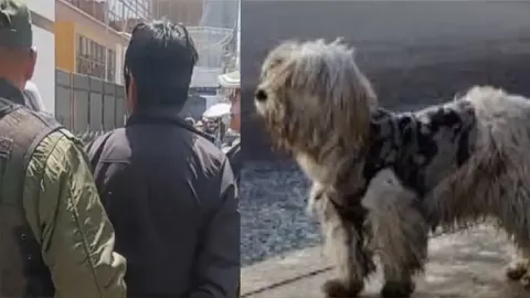 víctima