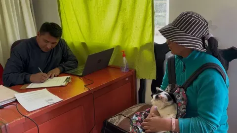 Gamea esterilización